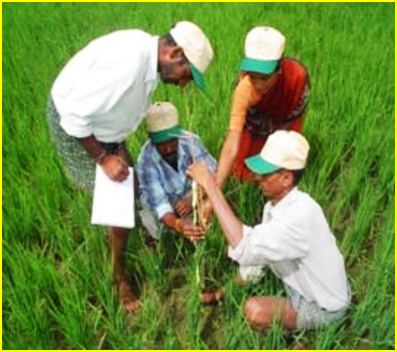 Advanced Course on Non Pesticidal Management